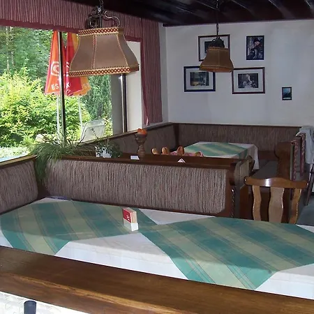 Hostel The Treehouse Backpacker *