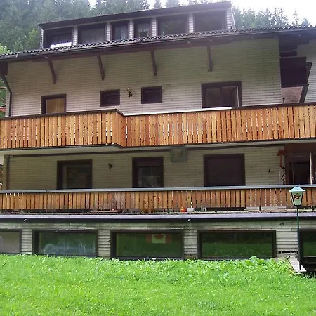 Hostel The Treehouse Backpacker