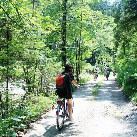 The Treehouse Backpacker *
