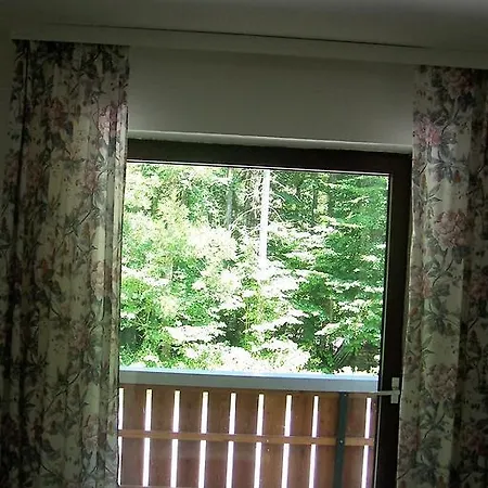 The Treehouse Backpacker Hostel