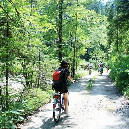 The Treehouse Backpacker *